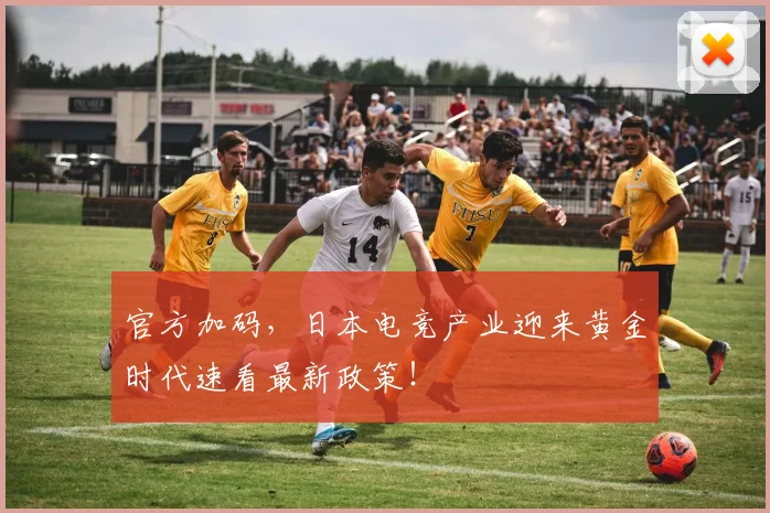 官方加码，日本电竞产业迎来黄金时代速看最新政策！