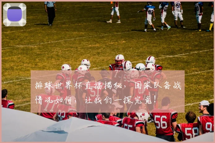 排球世界杯直播揭秘，国家队备战情况如何，让我们一探究竟！